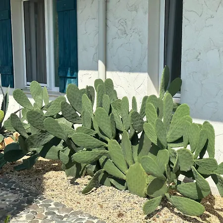 Apart-hotel Casa De Oro Alma