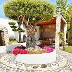Casa De Oro Alma アパートホテル ソゾポル
