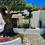 アパートホテル Casa De Oro Alma 4*