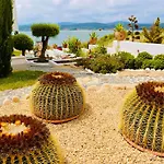 アパートホテル Casa De Oro Alma