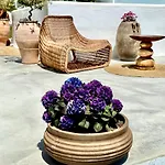 Casa De Oro Alma 4*