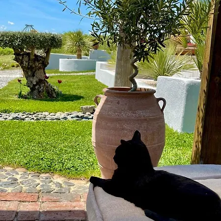 Casa De Oro Alma Aparthotel 4*