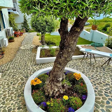 Casa De Oro Alma 4*