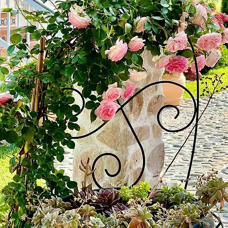 Casa De Oro Alma Апартхотел Созопол