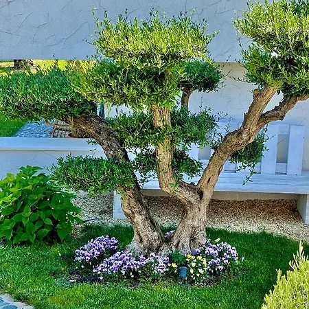 Casa De Oro Alma Aparthotel 4*