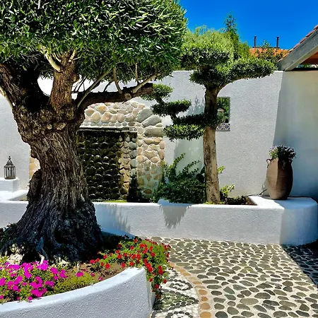 Aparthotel Casa De Oro Alma 4*