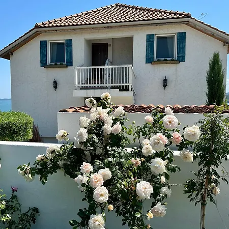 Casa De Oro Alma