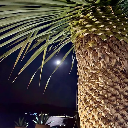 Lejlighedshotel Casa De Oro Alma Sozopol