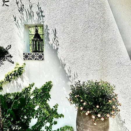 Casa De Oro Alma Lejlighedshotel 3*