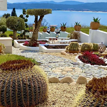 Casa De Oro Alma Aparthotel