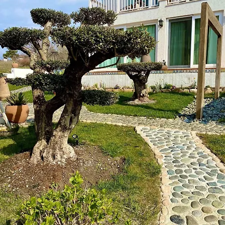 Casa De Oro Alma Lejlighedshotel