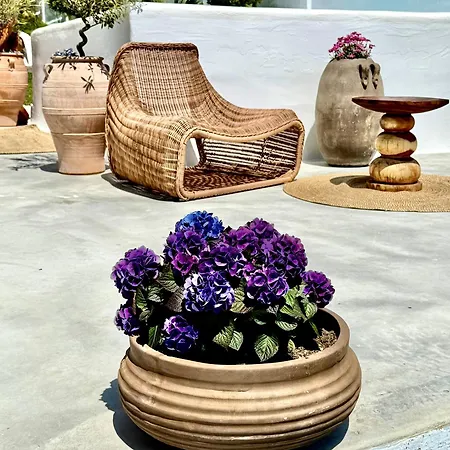 Casa De Oro Alma 4*