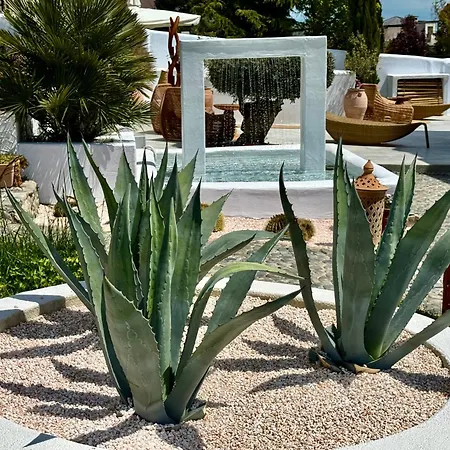 Casa De Oro Alma Aparthotel