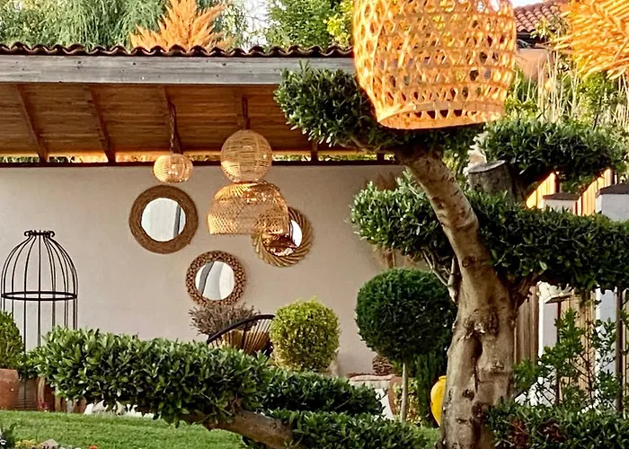 Casa De Oro Alma 4* 索佐波尔