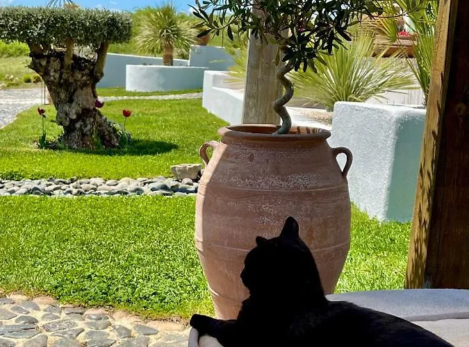 Casa De Oro Alma Apartahotel 4*