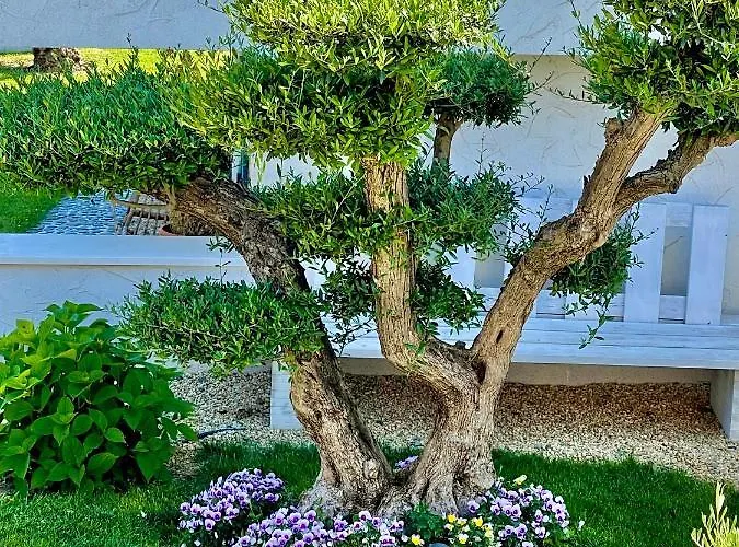 Casa De Oro Alma Apartahotel 4*