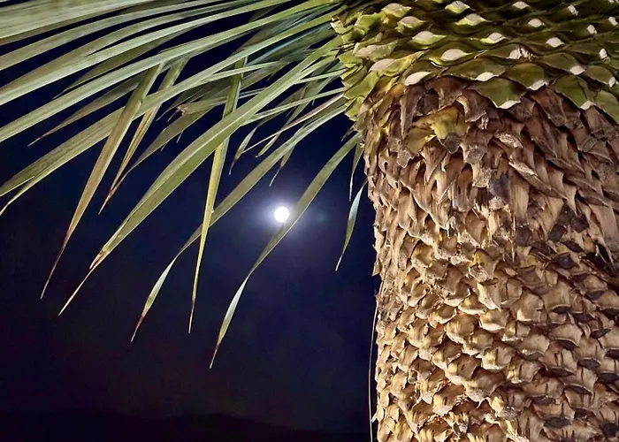 公寓式酒店 Casa De Oro Alma 索佐波尔